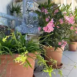 Pensiune Casa Magdalena Summer Home In Krk Old Town 4*