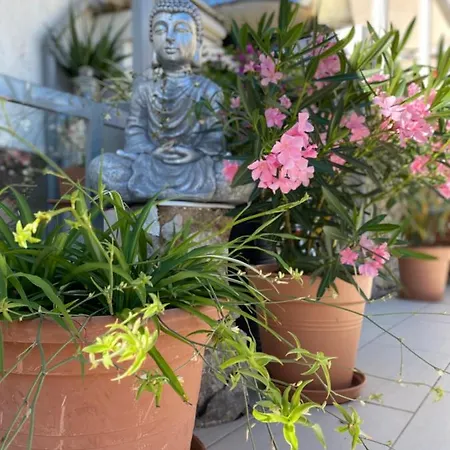 Guest house Summer In Krk Center 