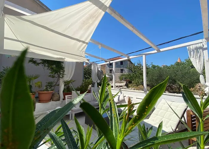 Summer In Krk Center 